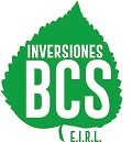 BCS Logo