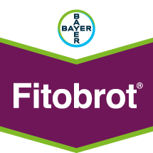Fitobrot