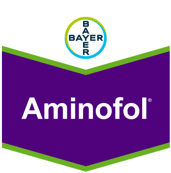 Aminofol