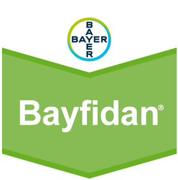 Bayfidan