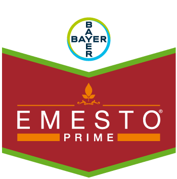 Emesto Prime