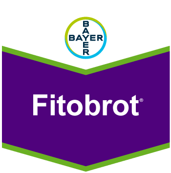 Fitobrot