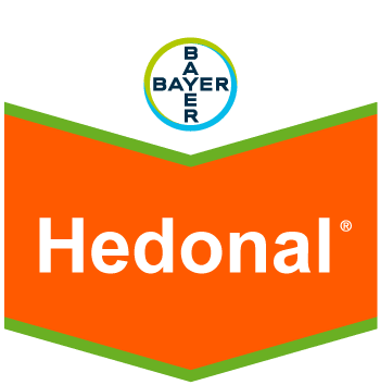 Hedonal