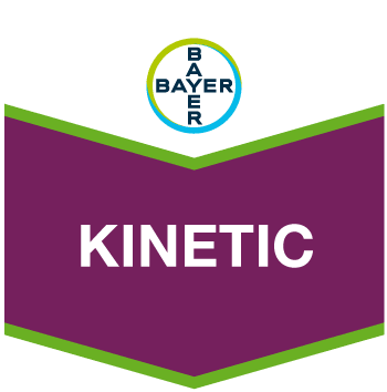 Kinetic