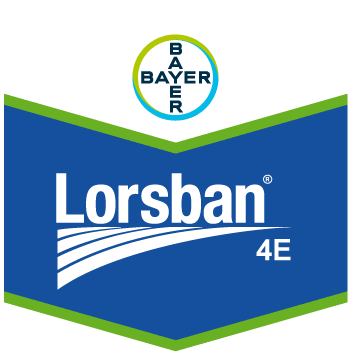 Lorsban