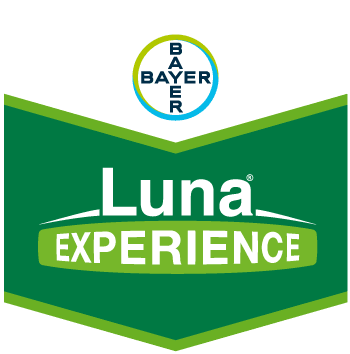 Luna Experience