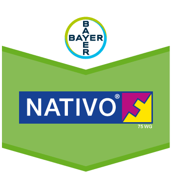 Nativo