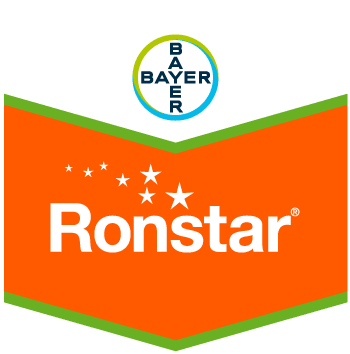 Ronstar