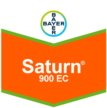 Saturn 900 EC