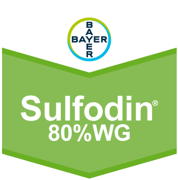 Sulfodin