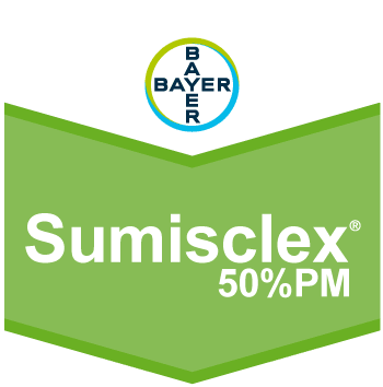 Sumisclex