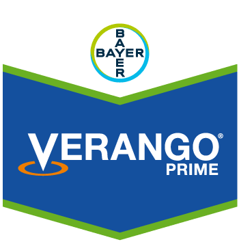 Verango