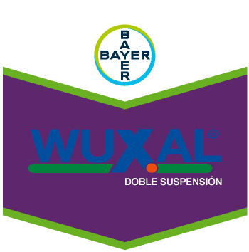 Wuxal Doble Suspensión