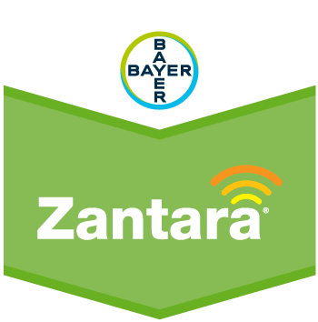 Zantara